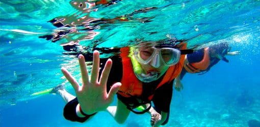 Gallipoli Snorkelling Tours 5