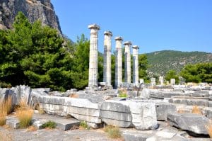3 Days Ephesus, Priene Miletus Didyma, and Pamukkale Tour from Istanbul