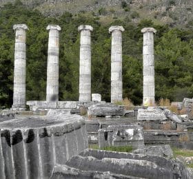 5 Days Ephesus, Pamukkale, and Priene Miletos Didyma Tour from Istanbul tour in 5 Destinations (Ephesus, Pamukkale, Priene, Miletos, Didyma)