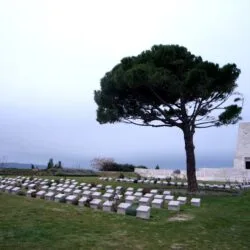 Gallipoli Lone Pine 3