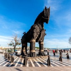 Trojan Horse 1