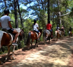 Half Day Horseback Riding Tour in Antalya tour in Antalya